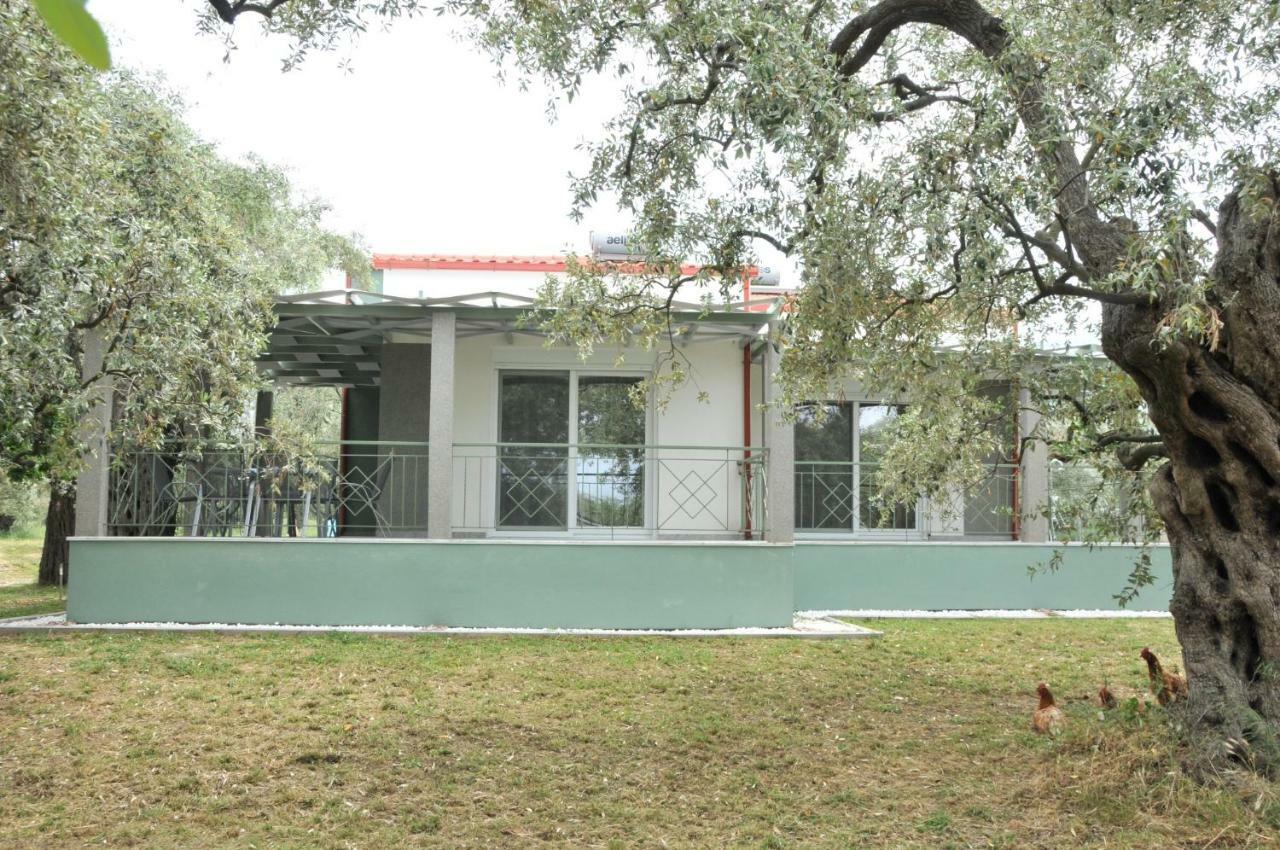 Villa "Elaeda Evdokia" Prinos  Luaran gambar
